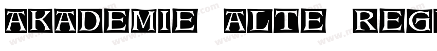 Akademie Alte Regula字体转换